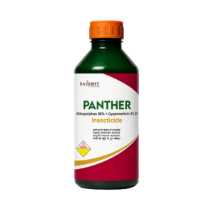 Panther