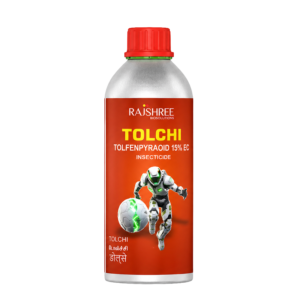 Tolchi