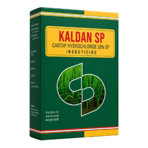 Kaldan