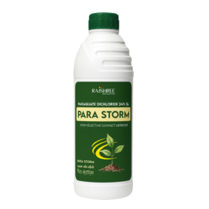 Para Storm