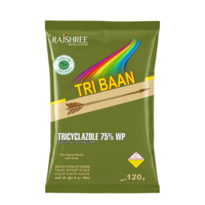 Tribaan