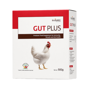 GUT PLUS