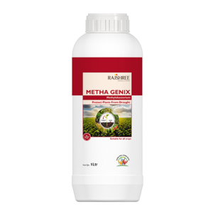 METHA GENIX (Methylobacterium / PPFM)