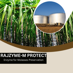 RAJZYME-M PROTECT