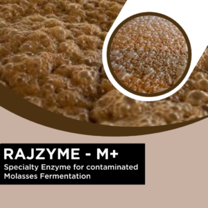 RAJZYME-M+