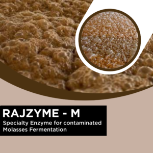 RAJZYME - M