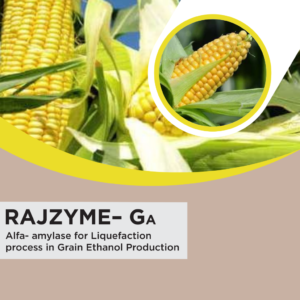 RAJZYME-GA
