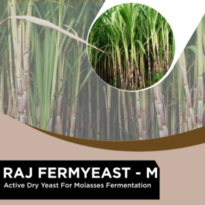 RAJ FERMYEAST-M