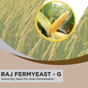 RAJ FERMYEAST-G
