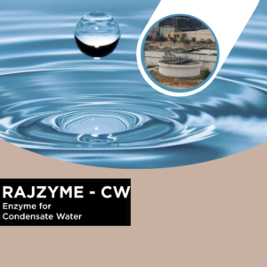 RAJZYME-CW