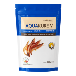Pond Probiotic for Vannamei Shrimp